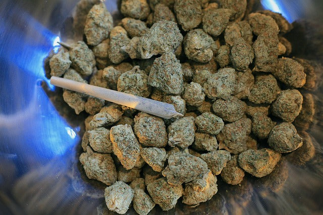 CBD Blüte