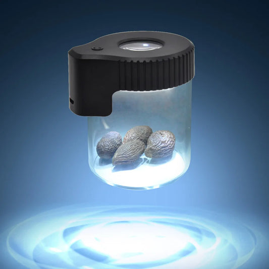 JUSES' SMOKESHOP – LED-Aufbewahrungsglas - Cannabiothek
