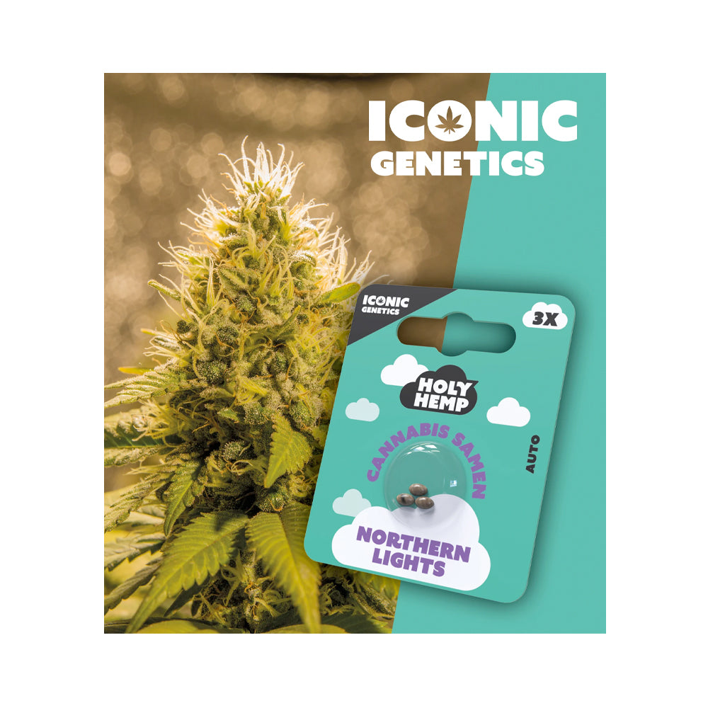 Holy Hemp Auto Flowering Northern Lights Cannabis Samen