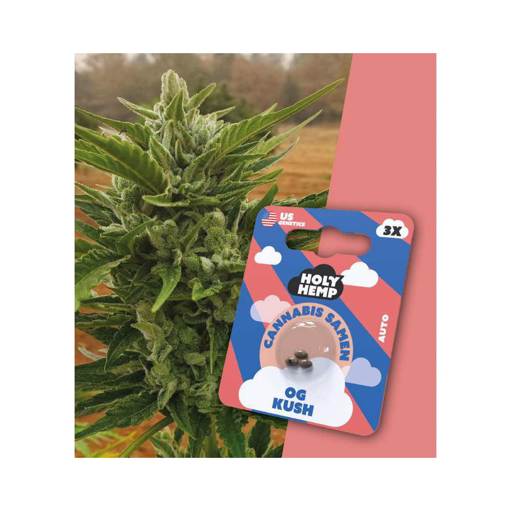 Holy Hemp Samen Auto Flowering  OG Kush